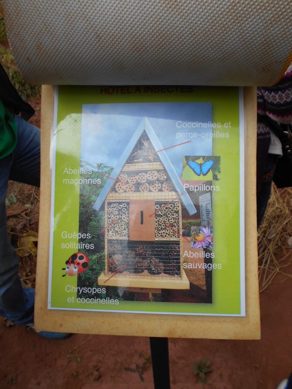 fiches sur l'h&ocirc;tel des insectes